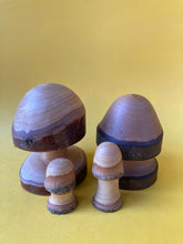 Load image into Gallery viewer, Whimsical Wooden Mushrooms - The Sidlaw Hare
